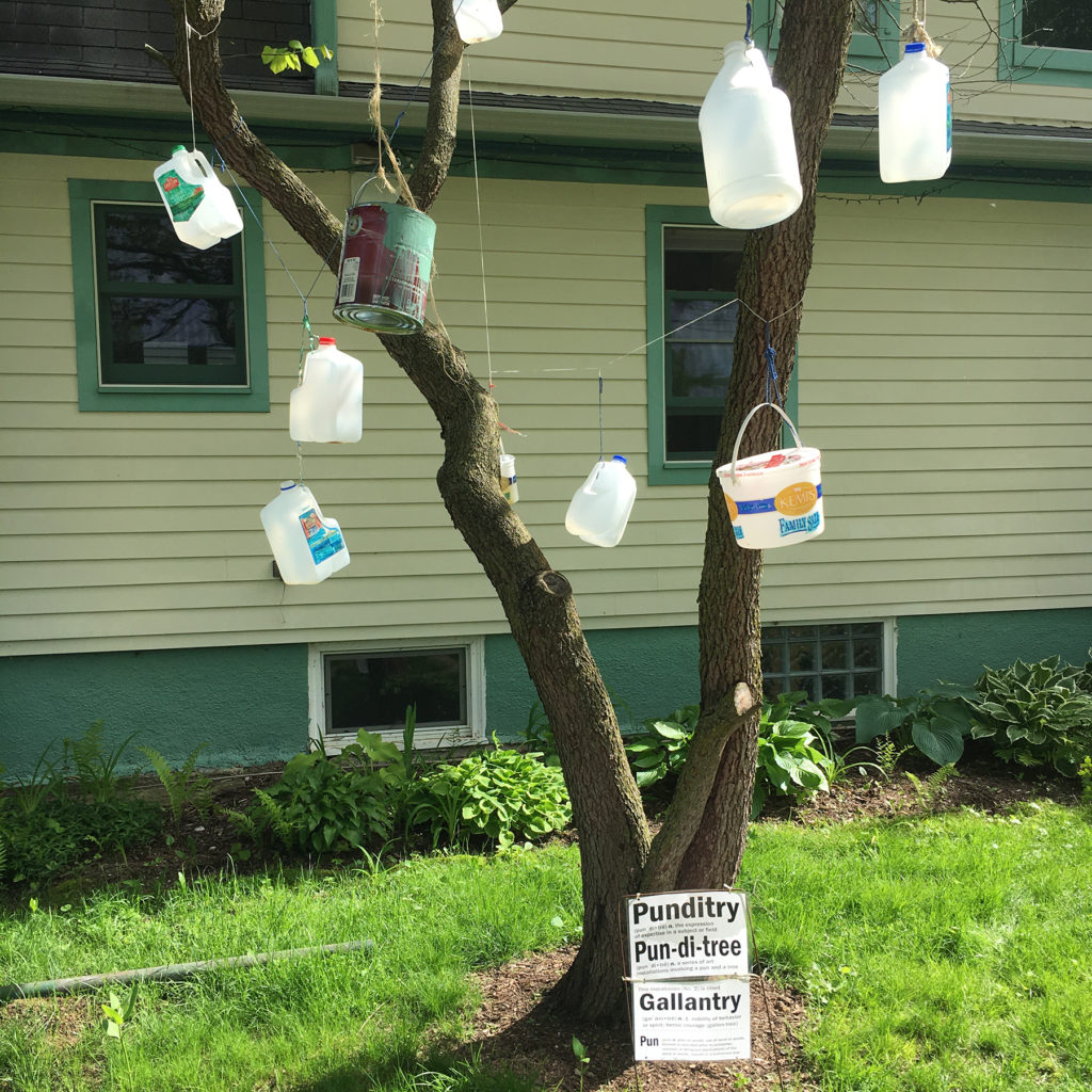 one-gallon containers hanging from tree