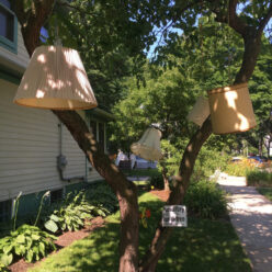 lamp shades hanging from tree