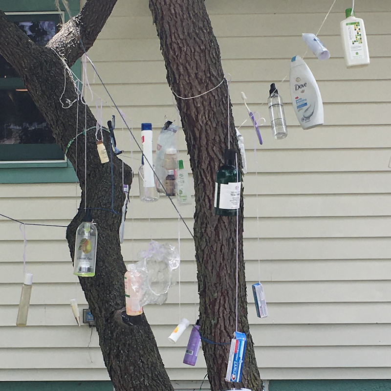 Bottles of shampoo, conditioner, hand lotion, etc.; toothpaste; toothbrushes; plastic bottles; and shower cap hanging from tree branches