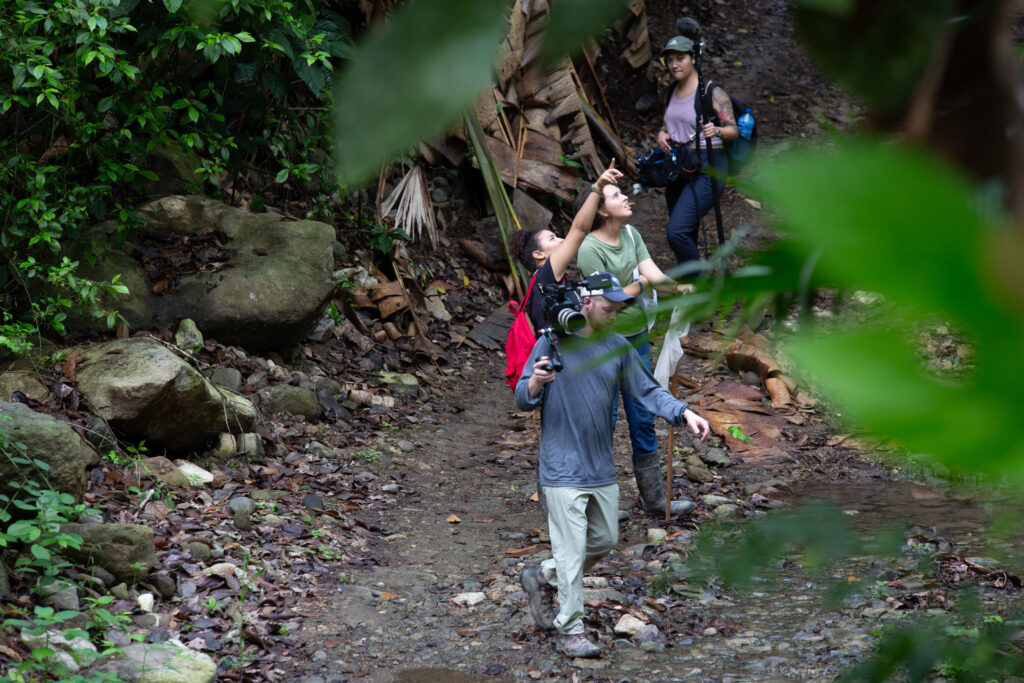 Cast and crew in "Indicators" get into position in the rain forest of Panama. Kurt Sensenbrenner's "Indicators" will be shown November 4, 2023, at the Barrymore Theatre in Madison, Wisconsin, as part of the 53704 Frame by Frame Film Festival.